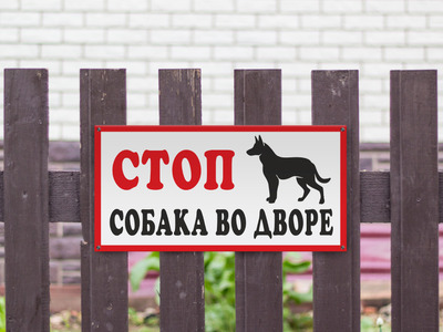 Табличка Стоп, собака во дворе
