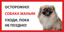 Табличка «Собака маньяк»
