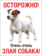 Табличка «Очень злая собака» джек-рассел-терьер