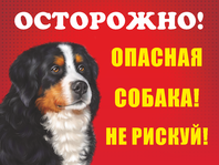 Табличка «Опасная собака, не рискуй»