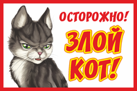 Табличка «Злой кот»