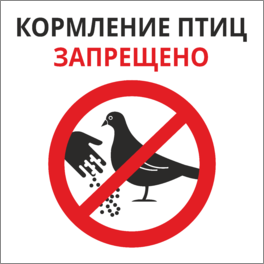 Табличка Кормление птиц запрещено