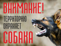 Табличка «Внимание! Территорию охраняет собака»